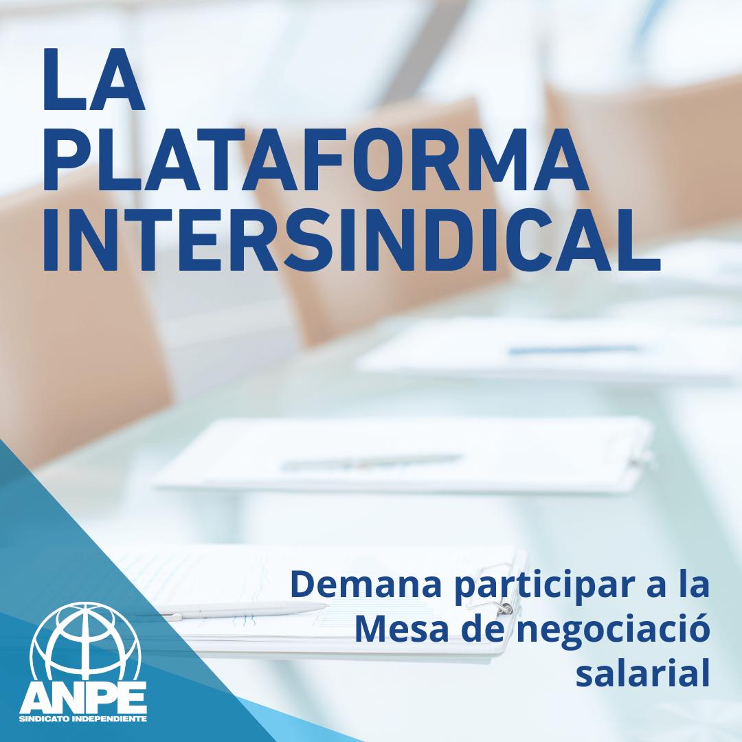 noticias--post-de-instagram---8-