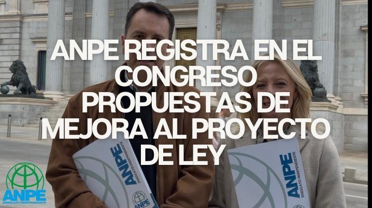 registro_mejoras_propuesta_ley_anpe