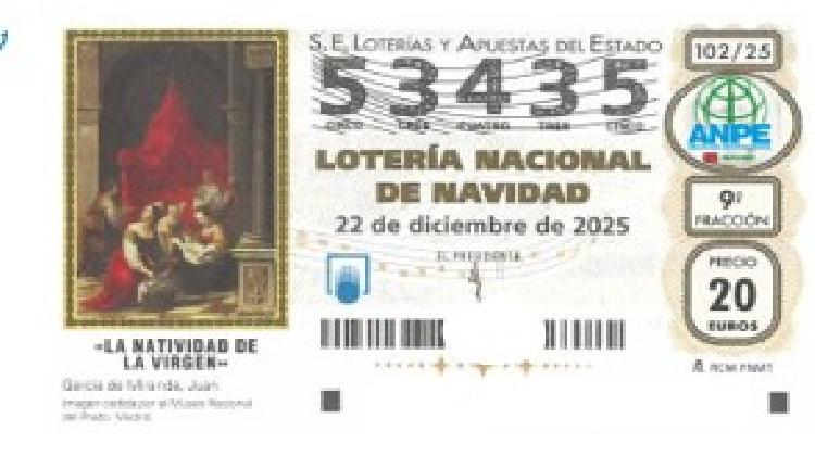 imagen1